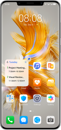 HUAWEI Mate 50 Pro Take a Swipe at it