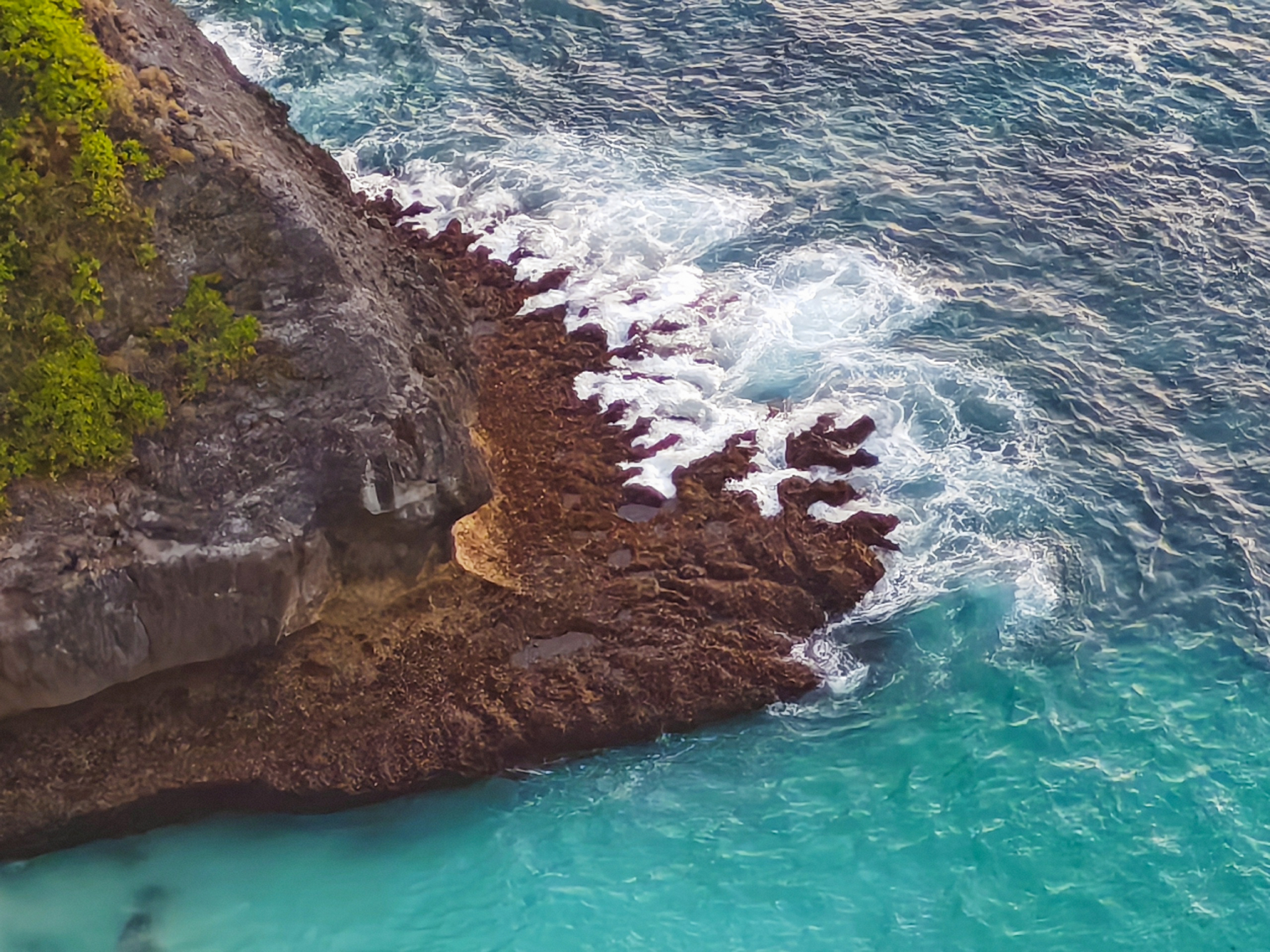 Telephoto, Shows the True Ability