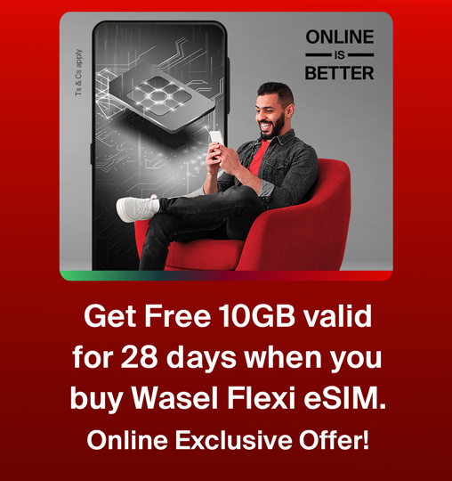 wasel-sim-nwt-inr-v4-en-nwt-p-4