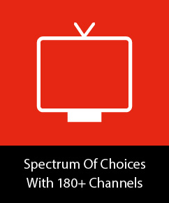 Spectrum Of Choices
																