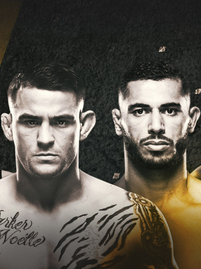 ad-fight-banner-414x554